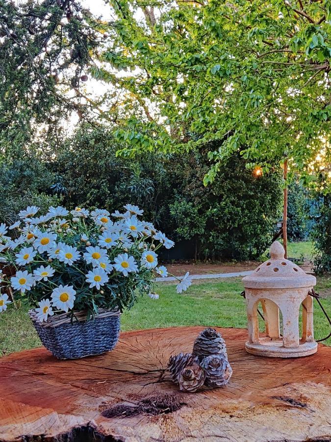 Relais Felciaino B&B Больгері Екстер'єр фото
