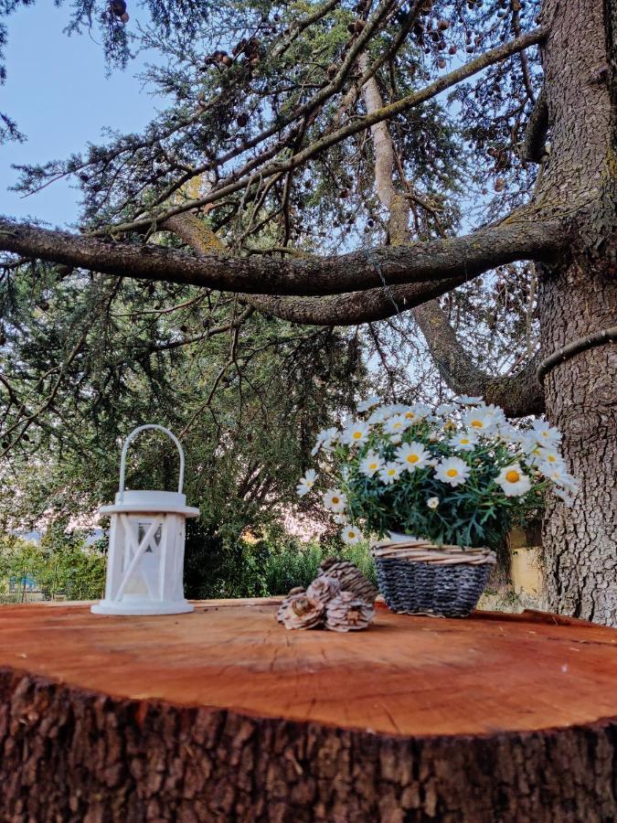 Relais Felciaino B&B Больгері Екстер'єр фото